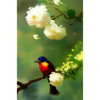 Bird on branch with flower blossoms