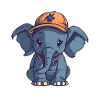 Elephant with cap