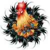 magnificent rooster in feather frame