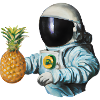 Ananas Astronaute
