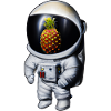Ananas Astronaute
