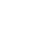 Sapiens Skull