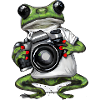 Frog with camera