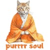 Purrrr Soul - Cat meditating