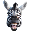 Broadly grinning zebra