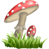 Toadstools