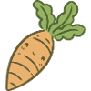 Sweet carrot