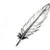 Eine Feder