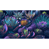 Succulent Echeveria Gift
