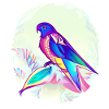 Budgie Bird Propriétaire Bird Cockatiel