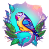 Cockatiel Budgie Bird Bird Propriétaire