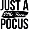 Hucus pocus