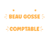 Homme comptable