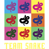 Team Snake