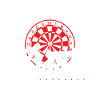 Born to play darts