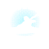Kayak Whisperer Kayaking