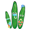 Vacation, Vacation, Cucumbers, Family, Diving