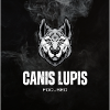 CANIS LUPIS
