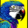 Parrot