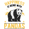 Panda Lucky Panda Bear