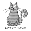 Cat's Love