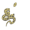 Letter u snake