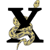 Letter x snake
