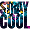 Stray Cool Trendy Cat Design