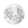 Silver moon