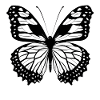 Butterflies pattern