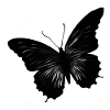 Butterflies pattern