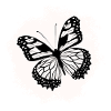 Butterflies pattern