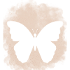 Butterflies pattern