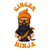 Ginger Ninja
