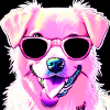 Dog with glasses