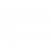 Le planté de bâtons