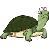 Turtle Nurse