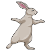 Rabbit Yoga Fitness
