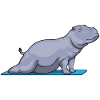 Hippo Yoga Fitness