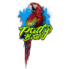 Pretty bird - Parrots