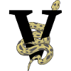 Letter v snake