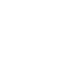 Proud Border Collie Daddy