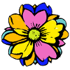 Beautiful flower