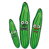 Cucumber Family,Cucumber,Cucumber,Fly, Nerd