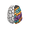 "Different, Not Less" Neurodiversity