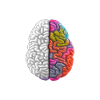 "Different, Not Less" Neurodiversity
