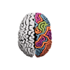 "Different, Not Less" Neurodiversity