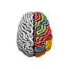 "Different, Not Less" Neurodiversity