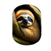 schlafendes Faultier