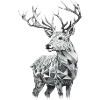Deer geometric black and white